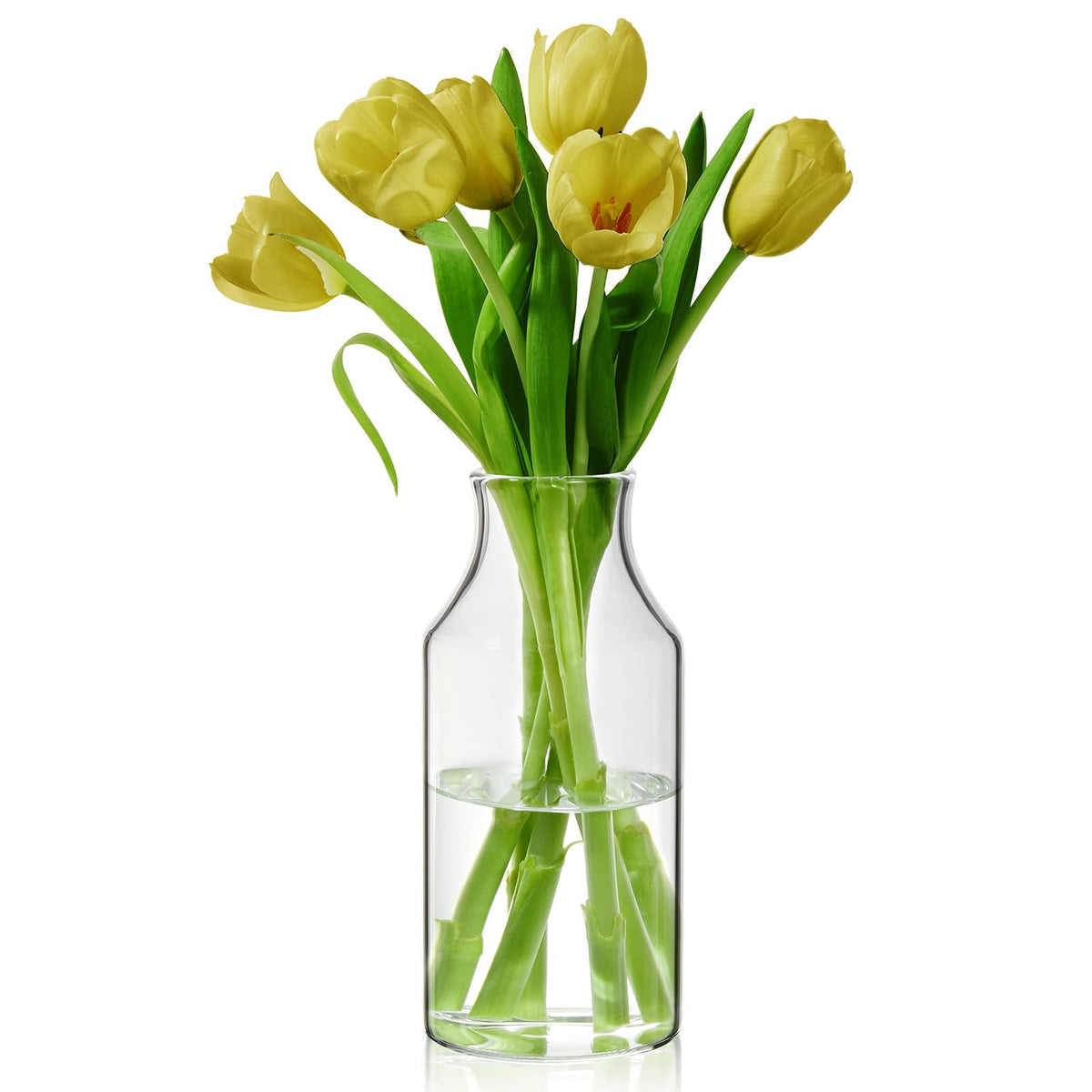 Clear Glass Vase, Large Flower Vase, 8-inch Glass Flower Vase for Plants, Wide Mouth Vase for Home, Wedding, Living Room, Dining Table